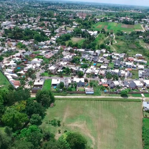 alamos--1